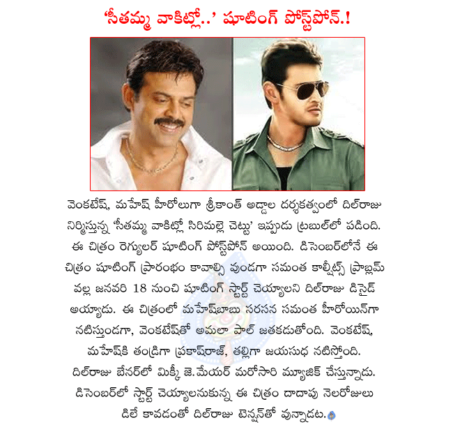 venkatesh and mahesh movie seethamma vakitlo sirimalle chettu shooting postponed,seethamma vakitly.. director srikanth addala,seethamma vakitlo.. producer dilraju,mahesh and samantha in seethamma vakitlo..,venkatesh and amala paul in seethamma vakitlo.  venkatesh and mahesh movie seethamma vakitlo sirimalle chettu shooting postponed, seethamma vakitly.. director srikanth addala, seethamma vakitlo.. producer dilraju, mahesh and samantha in seethamma vakitlo.., venkatesh and amala paul in seethamma vakitlo.